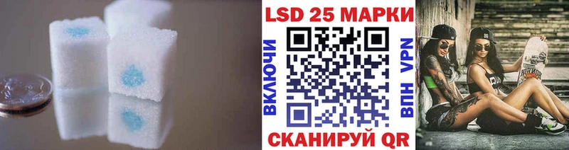 дарнет шоп  Петровск  ЛСД экстази ecstasy 