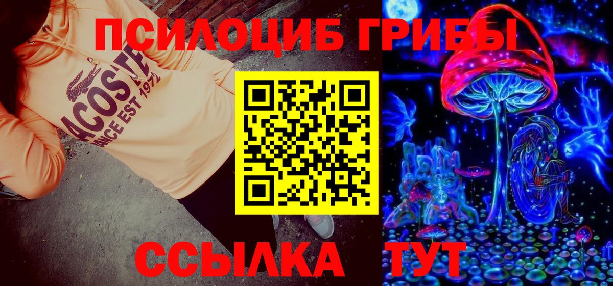 Псилоцибиновые грибы Cubensis  Петровск 