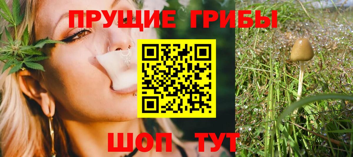 Псилоцибиновые грибы ЛСД  Вход с VPN  Петровск 