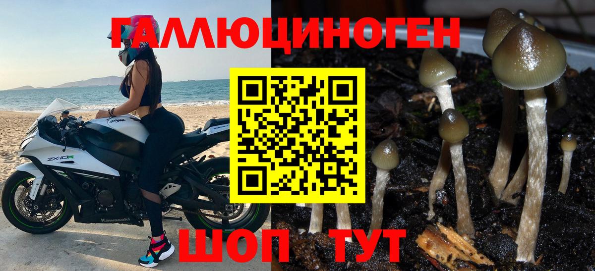Галлюциногенные грибы GOLDEN TEACHER Петровск