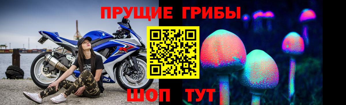 Псилоцибиновые грибы прущие грибы Петровск